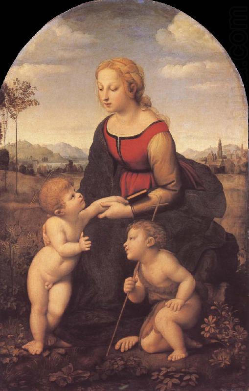 The virgin mary, RAFFAELLO Sanzio